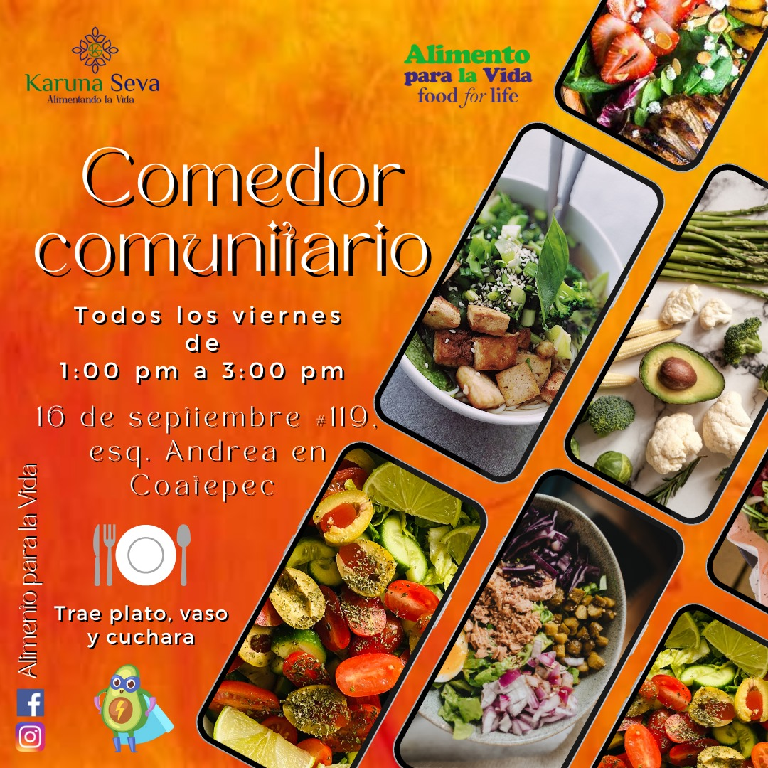 Cocina Ayurveda para la autocuración